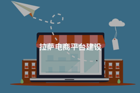 拉薩商城開(kāi)發(fā)怎么做？主流拉薩商城網(wǎng)站搭建方式對(duì)比